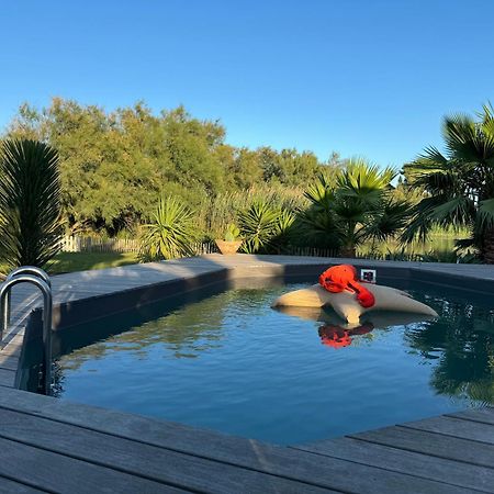 Cabane Le Flamant Avec Jardin, Piscine Et Parking Saintes-Maries-de-la-Mer Exteriör bild