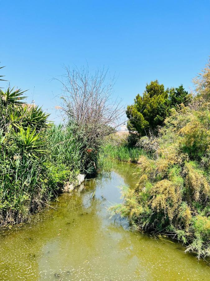 Cabane Le Flamant Avec Jardin, Piscine Et Parking Saintes-Maries-de-la-Mer Exteriör bild