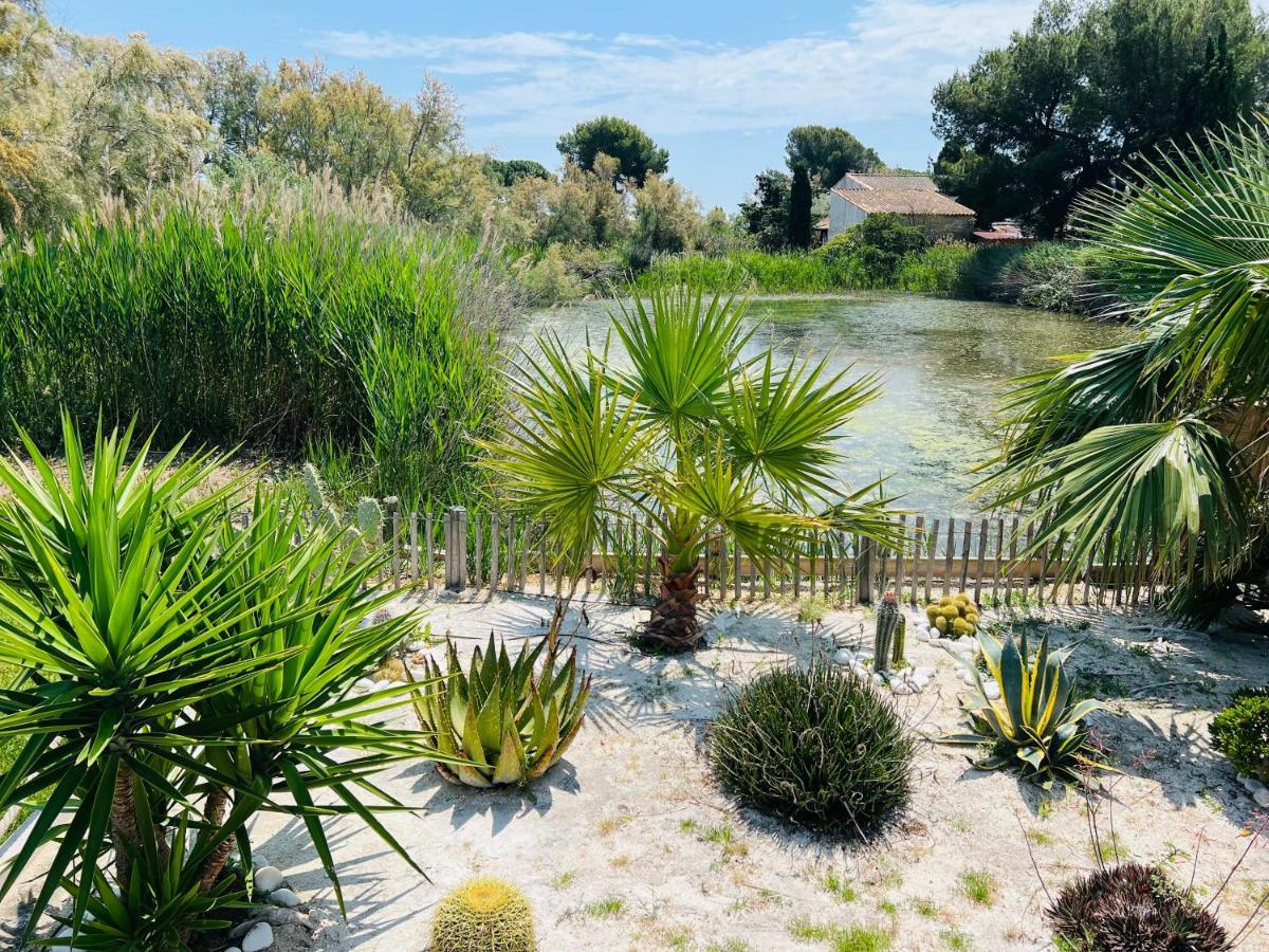 Cabane Le Flamant Avec Jardin, Piscine Et Parking Saintes-Maries-de-la-Mer Exteriör bild