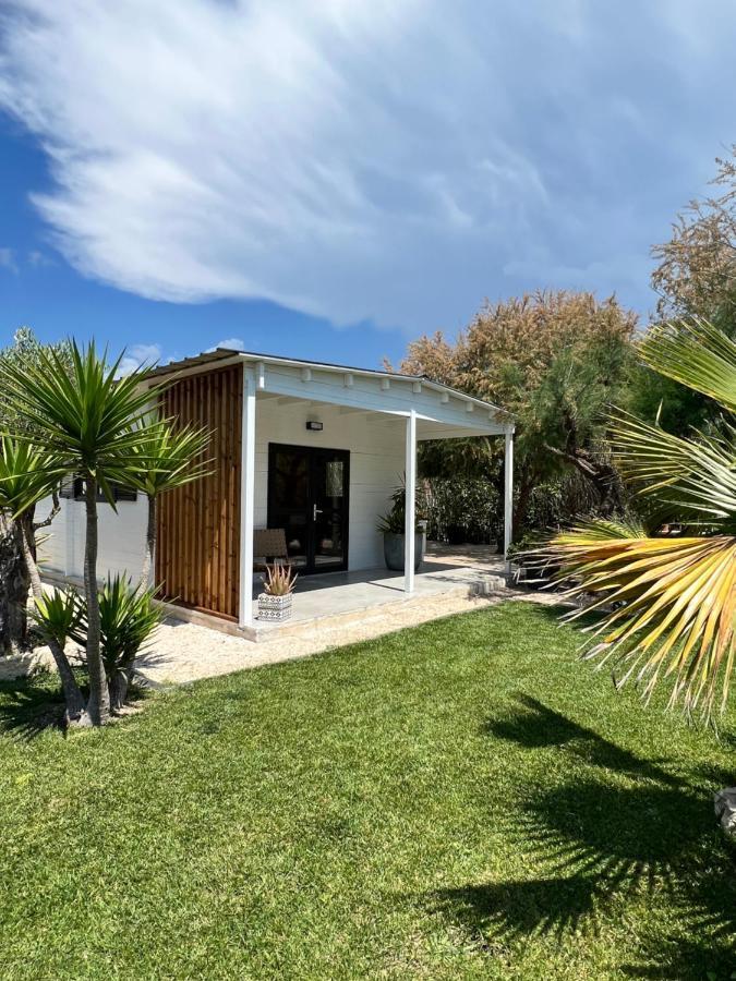 Cabane Le Flamant Avec Jardin, Piscine Et Parking Saintes-Maries-de-la-Mer Exteriör bild