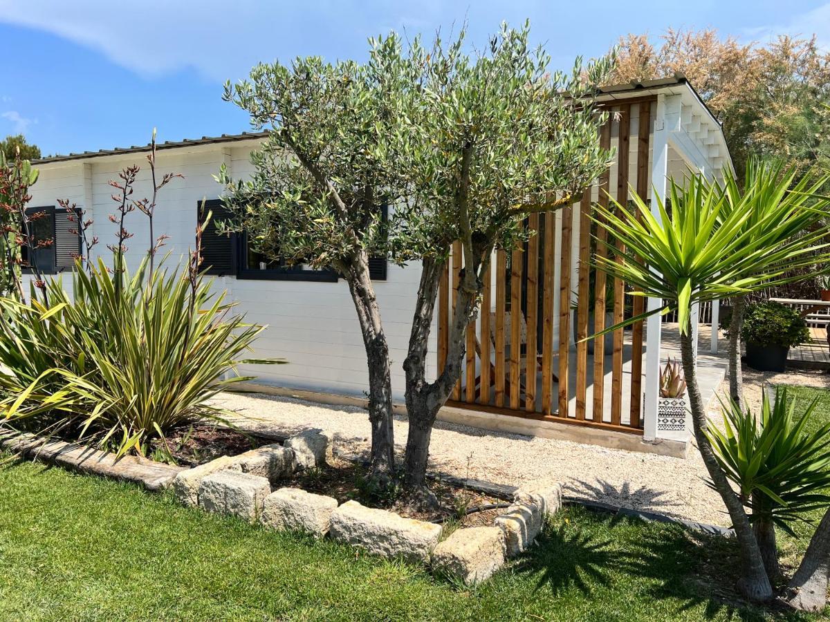 Cabane Le Flamant Avec Jardin, Piscine Et Parking Saintes-Maries-de-la-Mer Exteriör bild